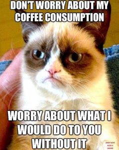 Grumpycat