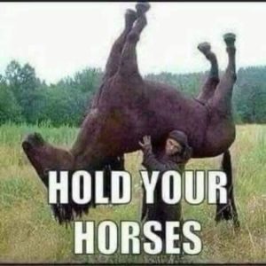 Hold your horses!